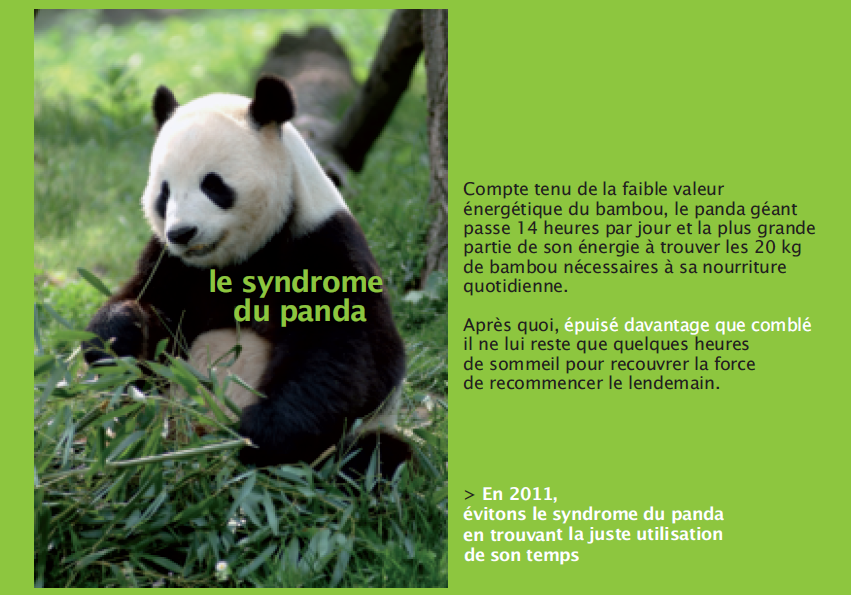 Syndromepanda.PNG